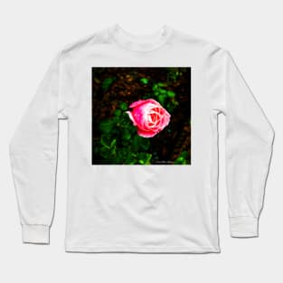 Desert Rose Long Sleeve T-Shirt